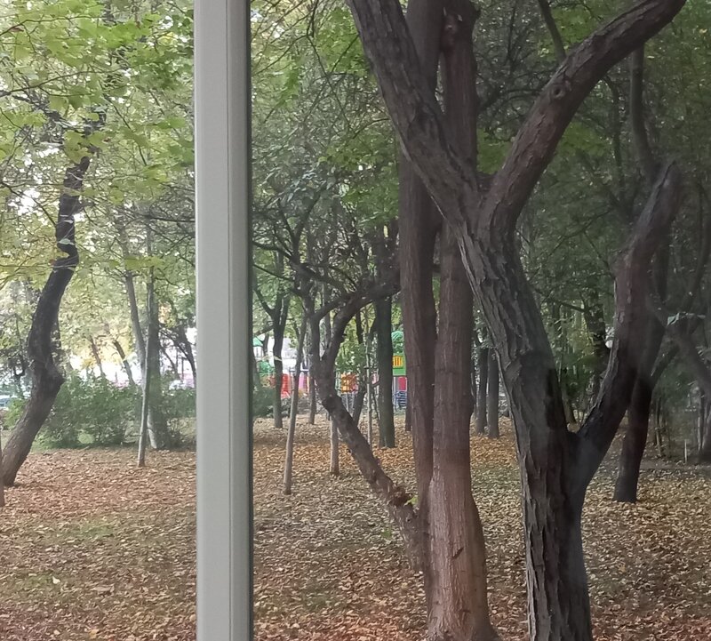 Str. Turnu Magurele, nr. 19, Aparatorii Patriei